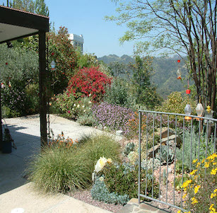 Back Yards